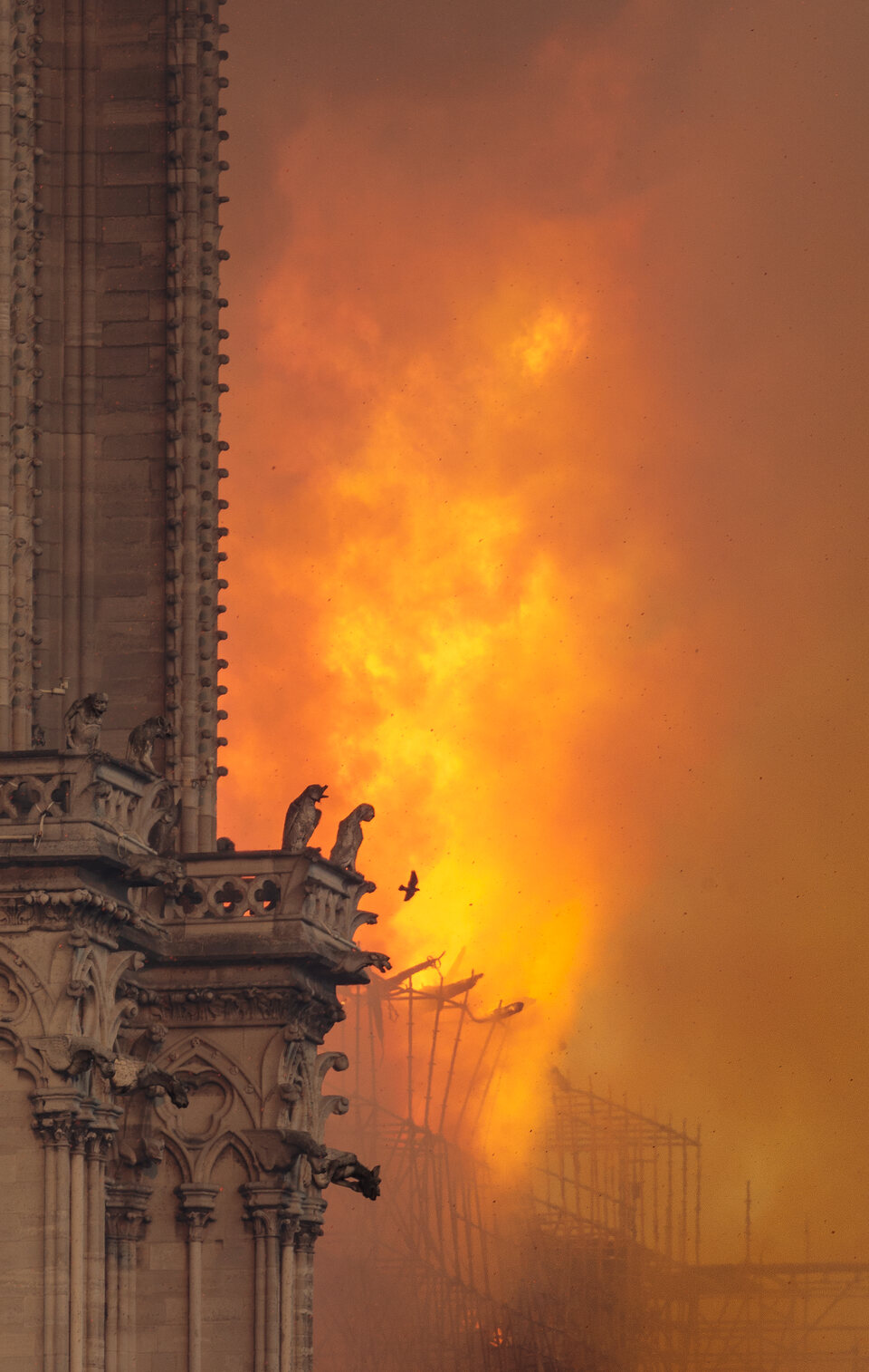 Notre-Dame.